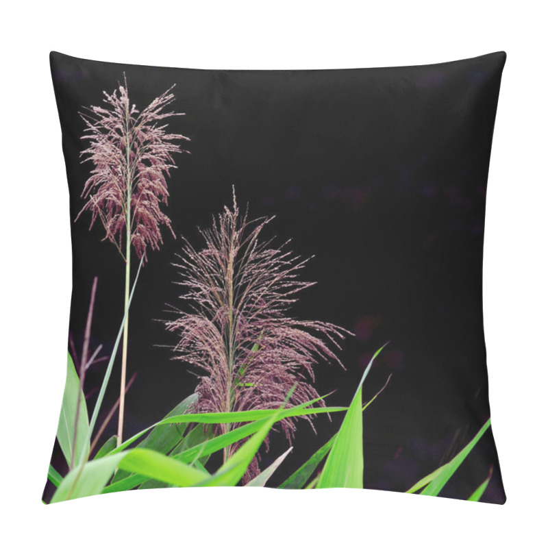 Personality  Spring Season Nature Background With Grass On Black Background Pillow Covers