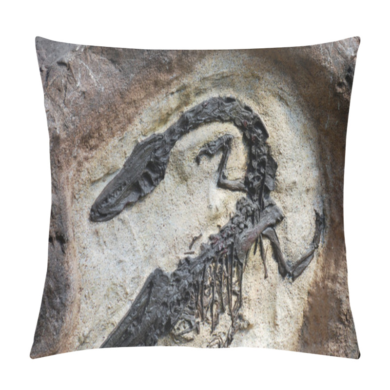 Personality  Fossil Pillow Covers