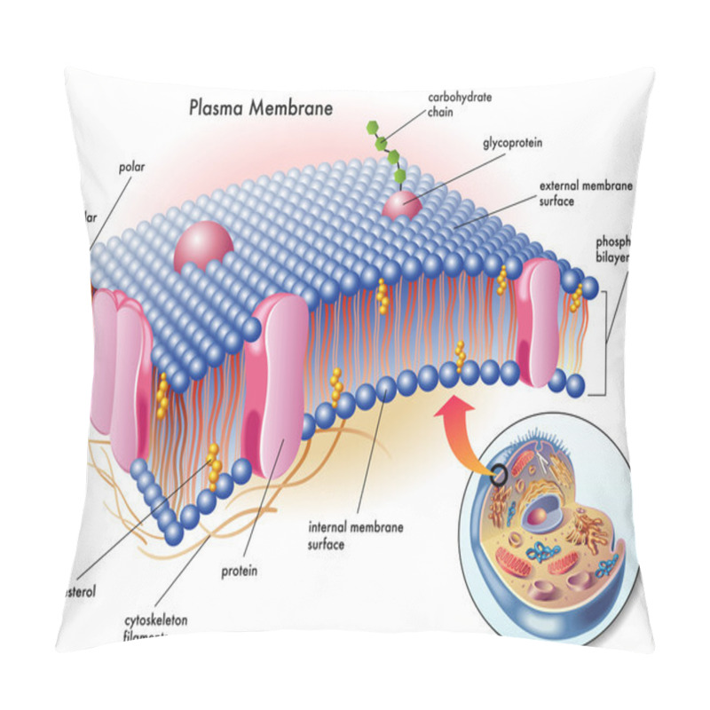 Personality  Plasma Membrane Pillow Covers