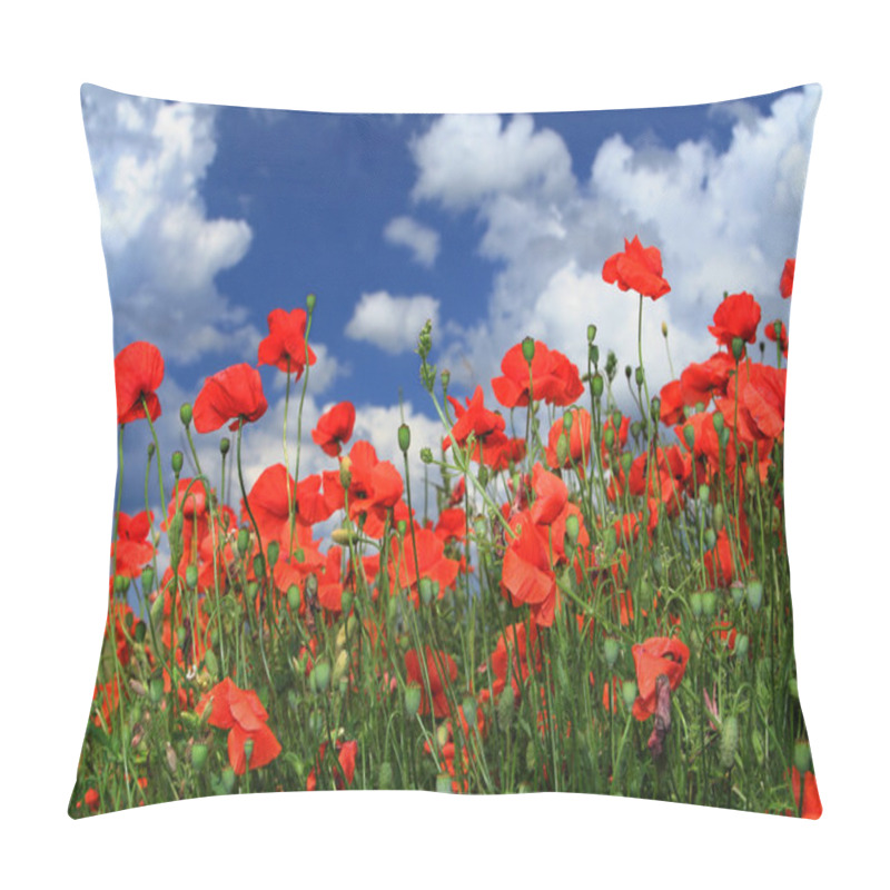 Personality  Field Of Red Poppies Pillow Covers