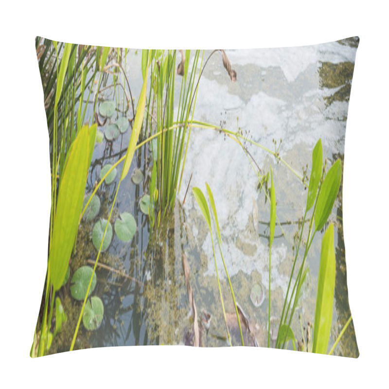 Personality  Image Of Wastewater Pond With Scum On Top Of Water From Eutrophication. Pillow Covers