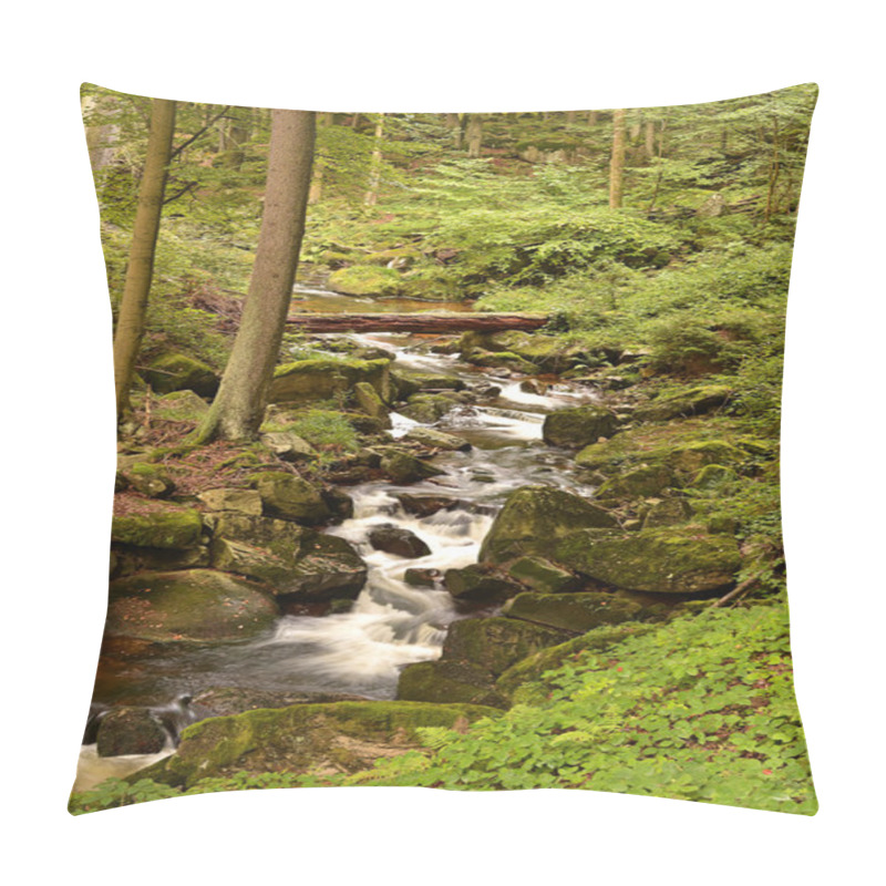 Personality  Harz National Park Pillow Covers