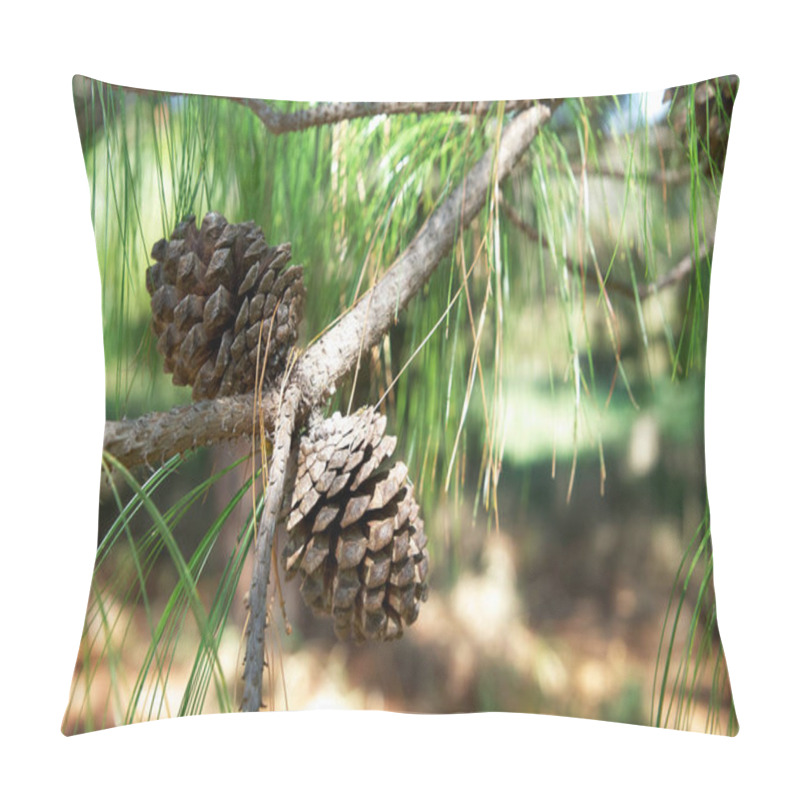 Personality  Pine Cone In The Forest Pillow Covers