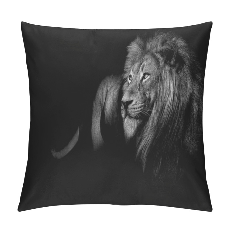 Personality  African Male Lion , Wildlife Animal Black And White Pillow Covers