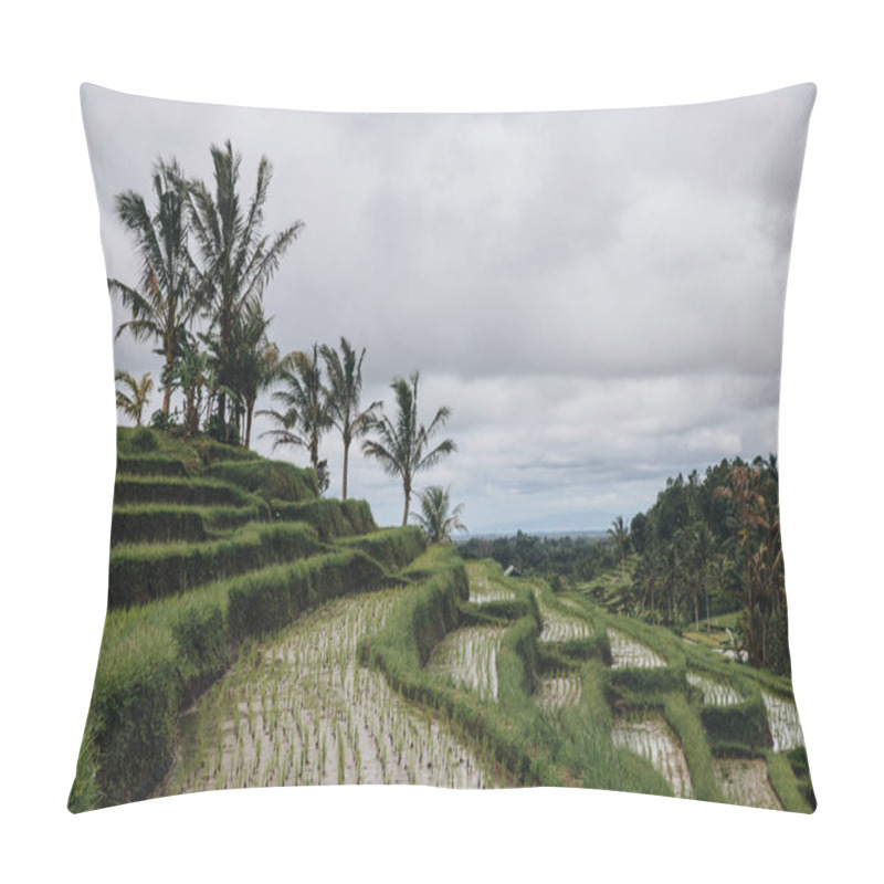 Personality  Plants Pillow Covers