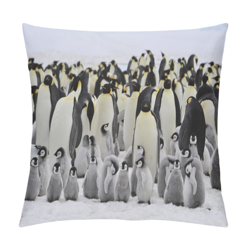 Personality  Emperor Penguins With Chick Pillow Covers