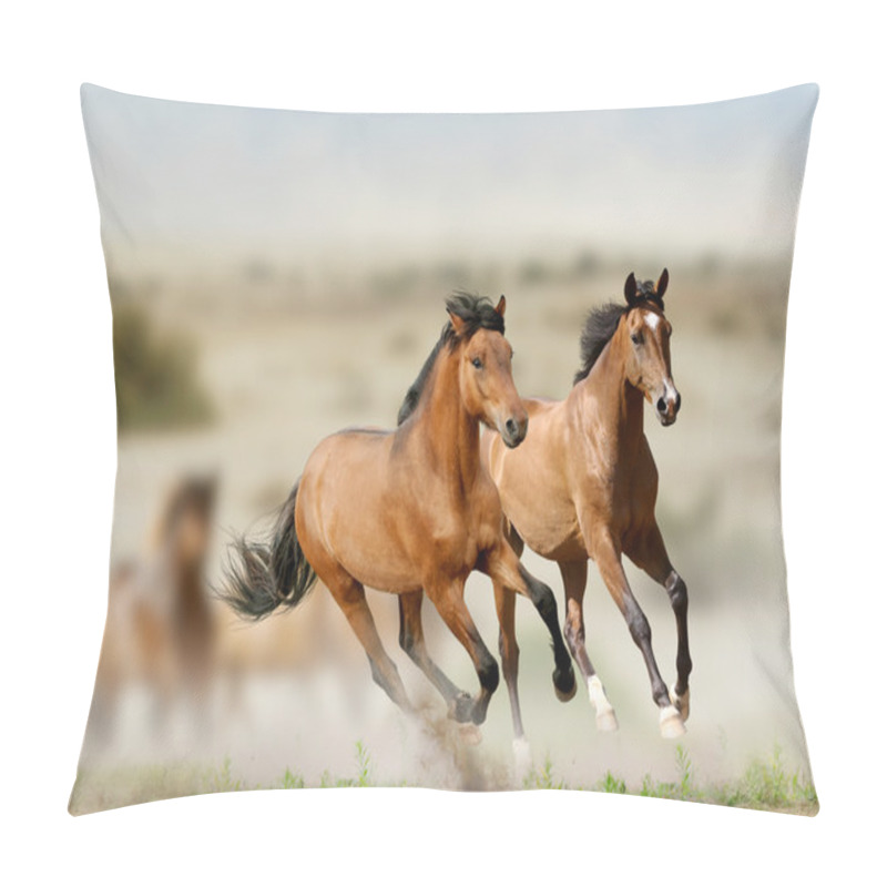 Personality  Horses Pillow Covers