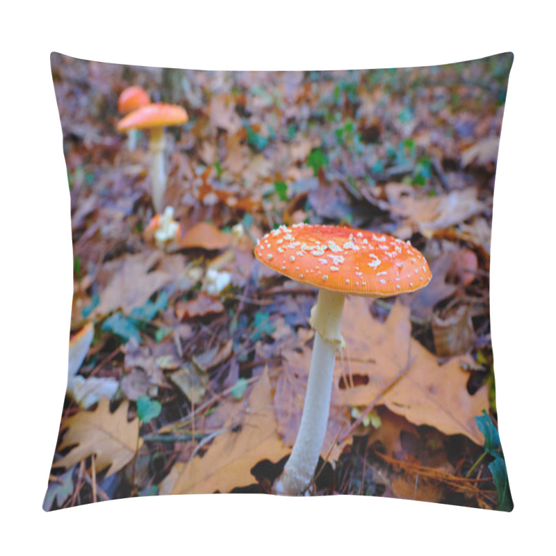 Personality  Close-up Of Two Amanita Muscaria Or Fly Agaric Mushrooms With Orange Caps And White Spots, Growing Among Fallen Leaves In An Oak Forest In Ucieda, Cabuerniga Valley, Cantabria, Spain. Pillow Covers