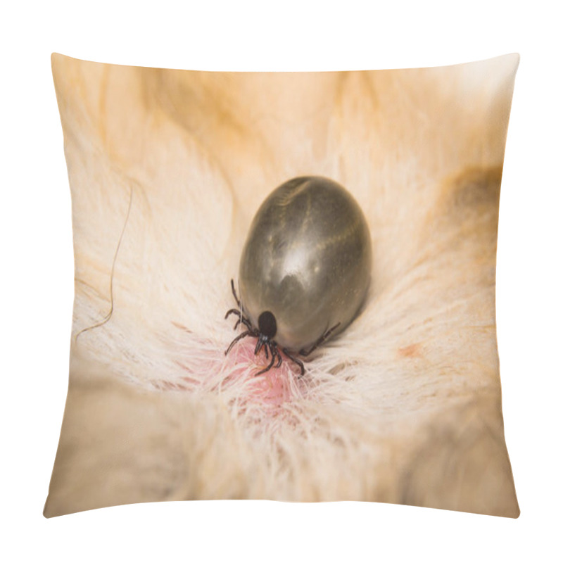 Personality  Adult Tick On The Skin Surface Of A Cat, Before Lay Eggs Pillow Covers