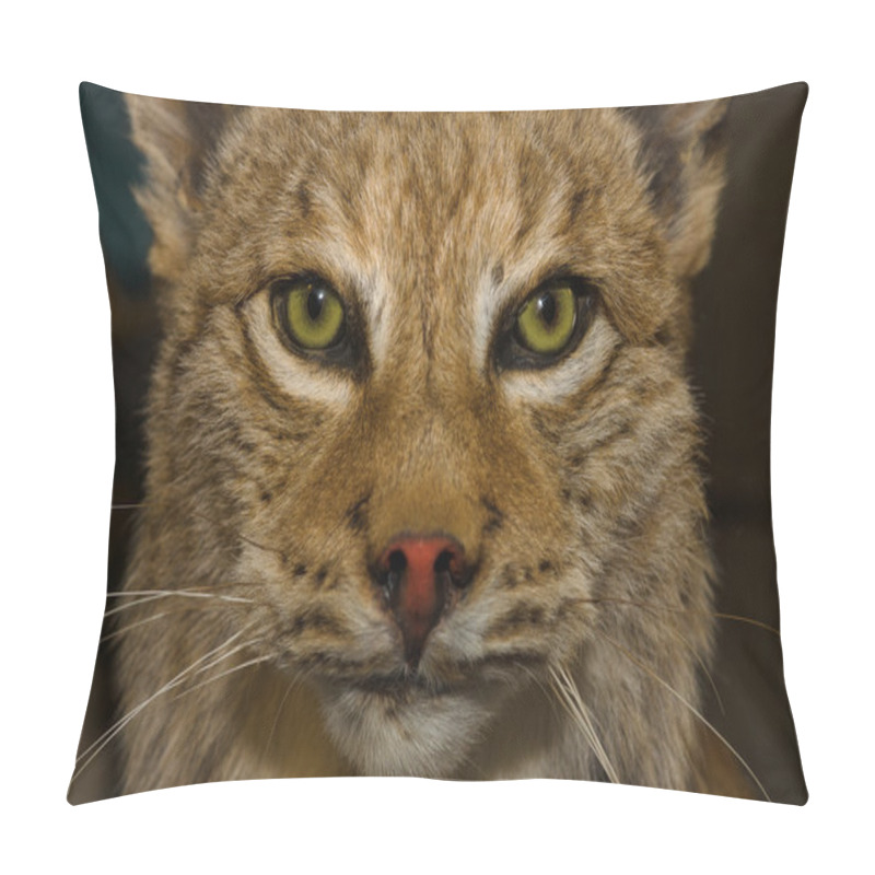 Personality  Stuffed Animal. Lynx. Pillow Covers