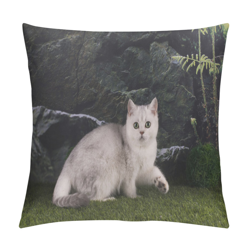 Personality  British Silver Cat In The Mountains Pillow Covers