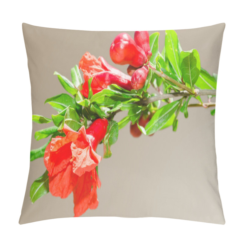 Personality  Sunlit Branch With Spring Red Pomegranate Blossom Pillow Covers