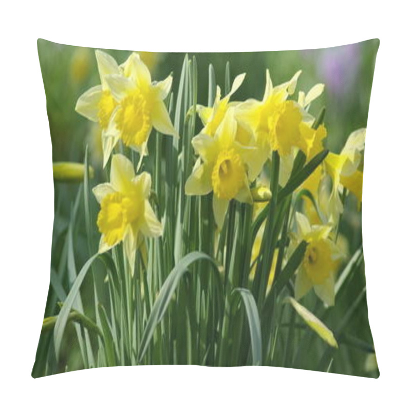 Personality  Beautiful Spring Flower, Daffodil Narcissus  Pillow Covers