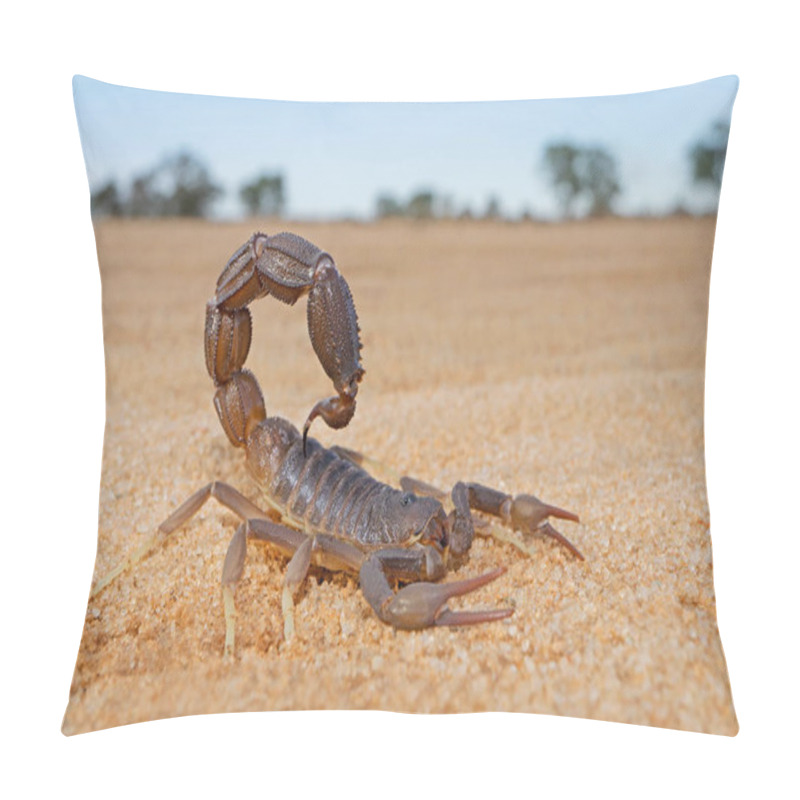 Personality  Granulated Thick-tailed Scorpion Pillow Covers