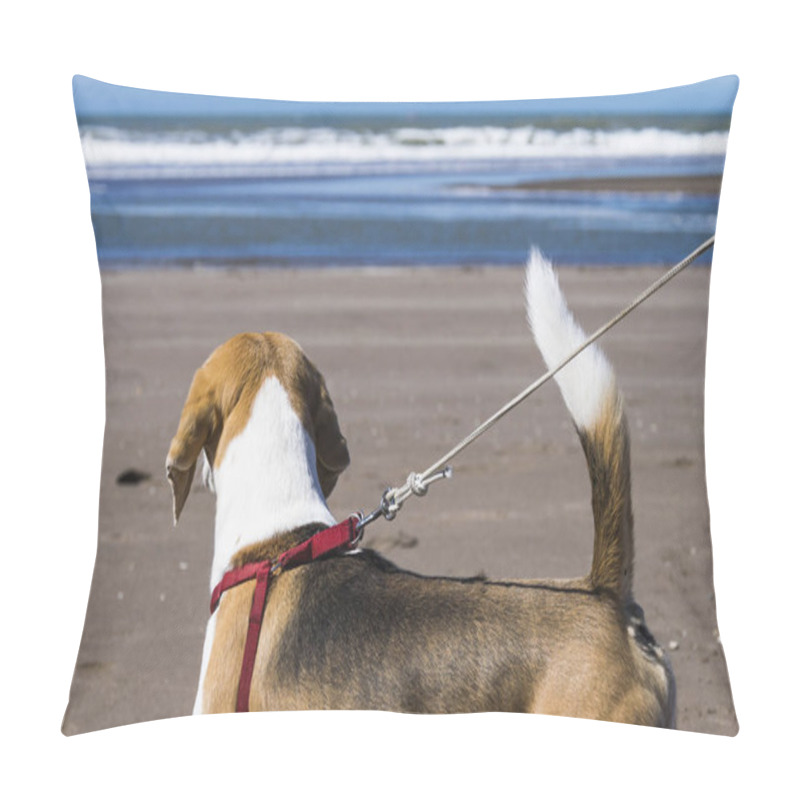 Personality  Beagle From Behind On The Beach Very Close To The Sea With Unfocused Background Pillow Covers