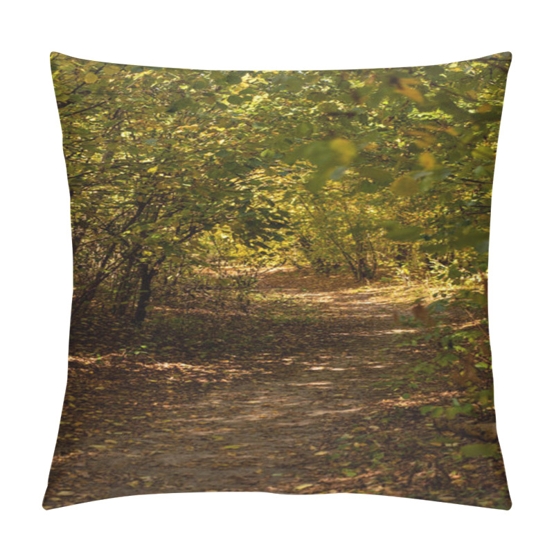 Personality  Picturesque Autumnal Forest With Golden Foliage And Path In Sunlight Pillow Covers