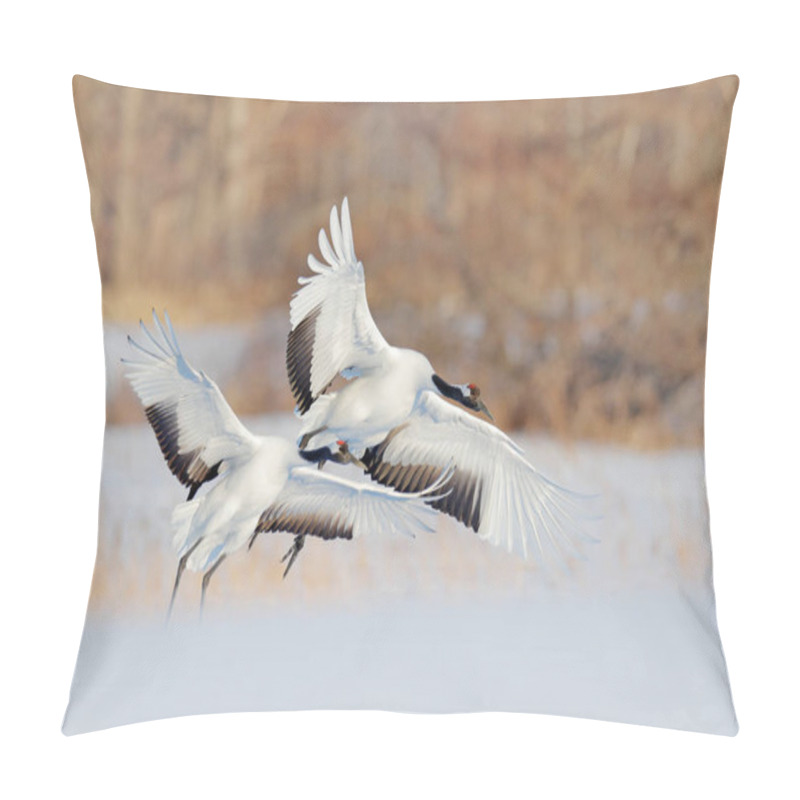 Personality  Two Red-crowned Cranes Flying Above Snow Meadow, Hokkaido, Japan. Pillow Covers