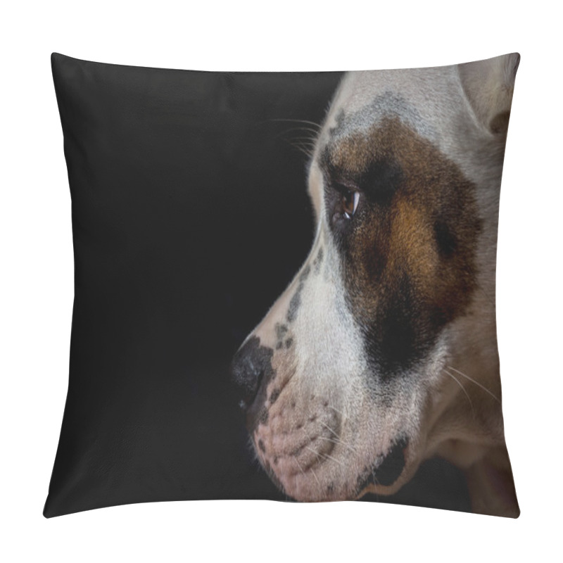 Personality  Dog On Black Background Pillow Covers