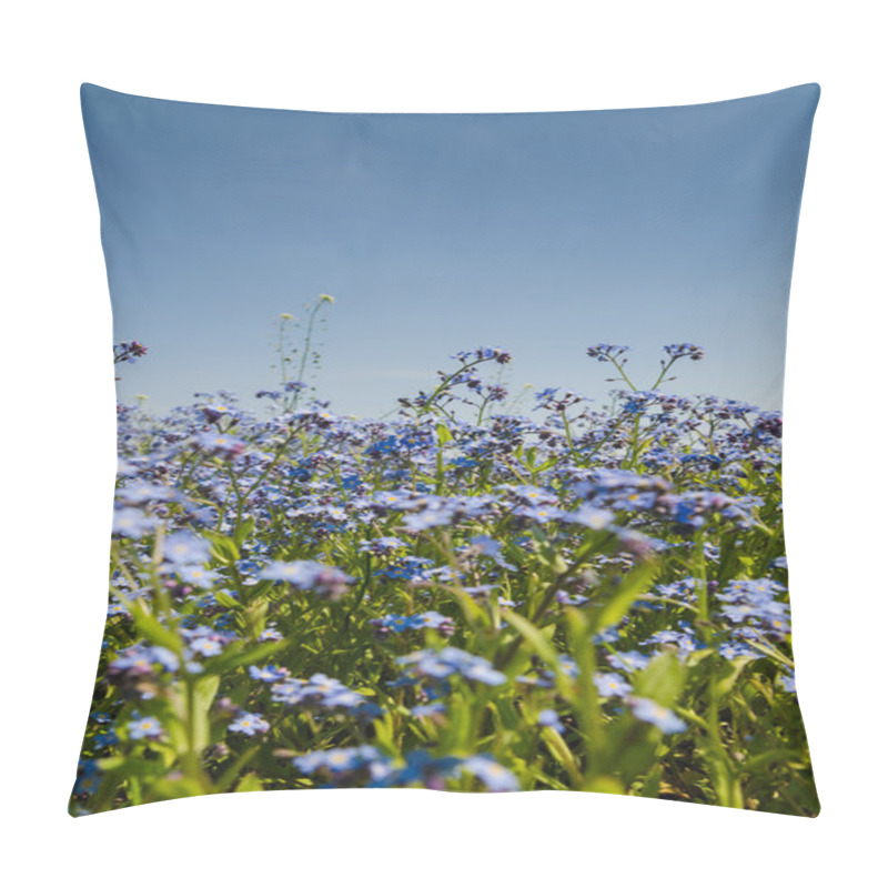 Personality  Blue Spring Flowers Pillow Covers