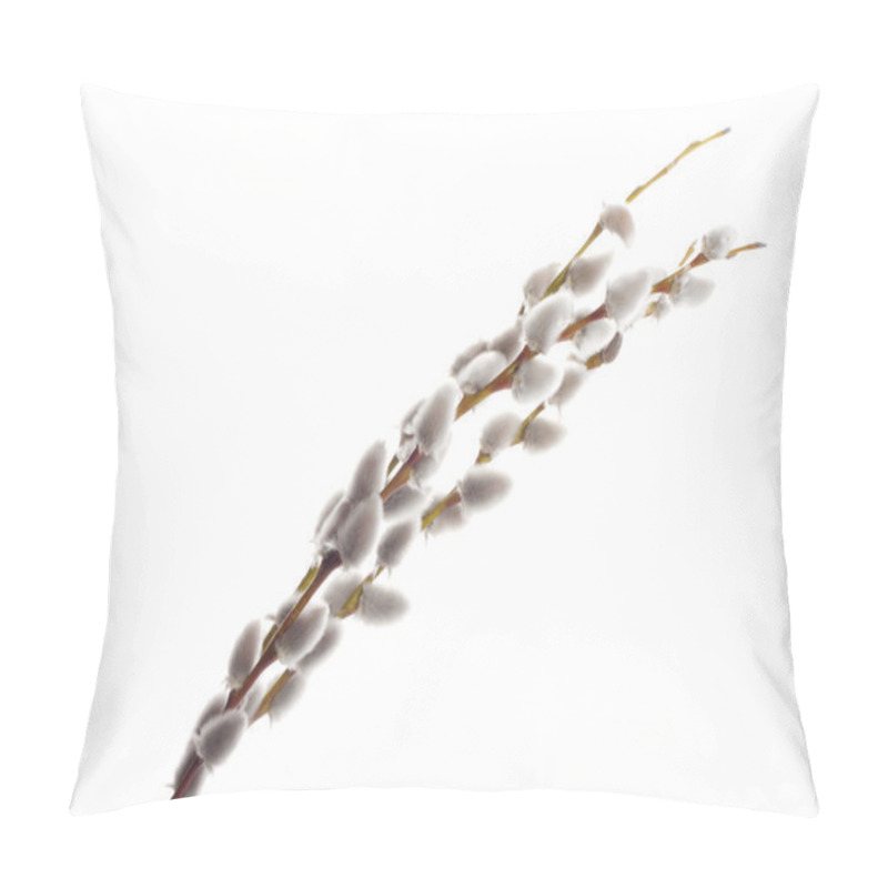 Personality  Pussy-willow On A White Pillow Covers