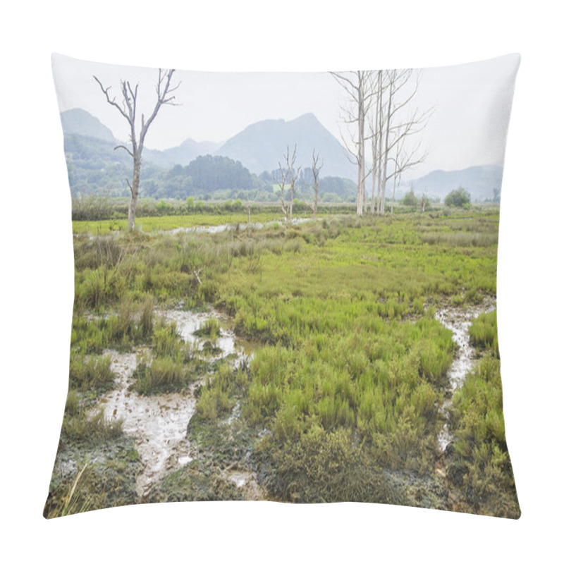 Personality  Urdaibai Marshes Walk In Vizcaya Province, Spain Pillow Covers