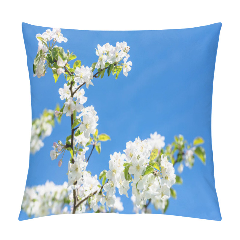 Personality  Flowering Apple, Blossom On Sky Background, White Flowers On Branch, Spring Blossoming Tree Pillow Covers