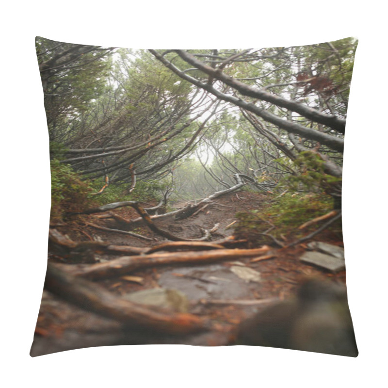 Personality  Strong Beautiful Fog In The Forest Pillow Covers