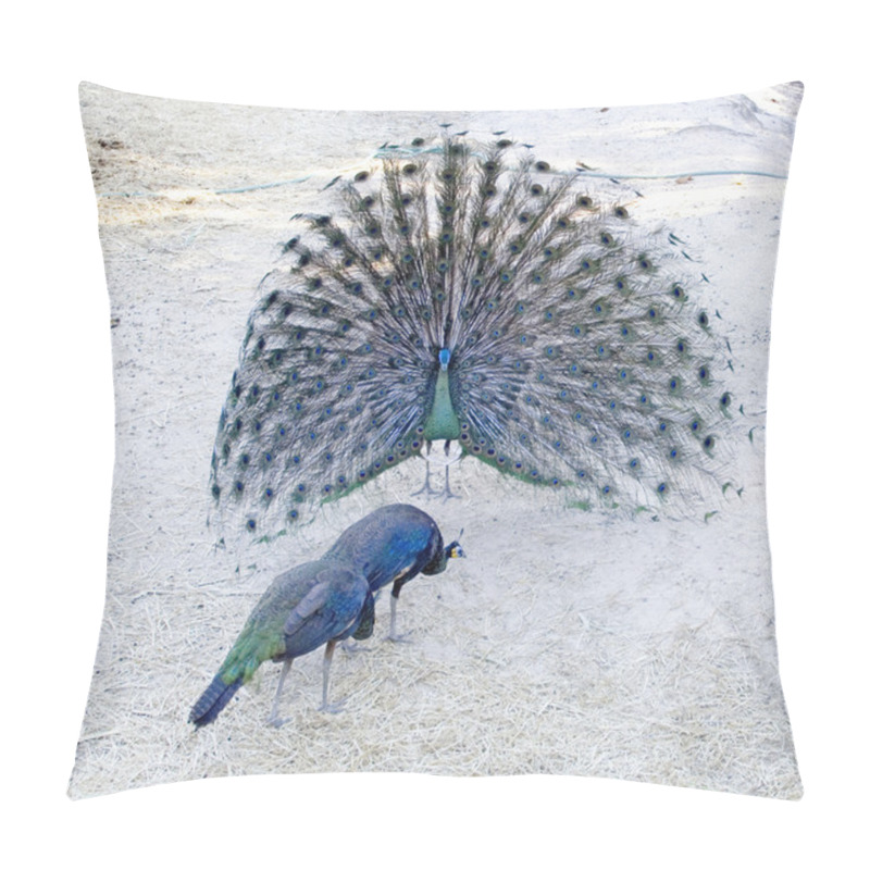 Personality  Peacocks Pillow Covers