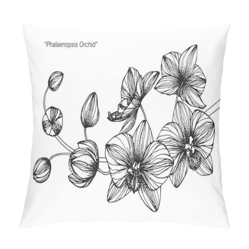 Personality  Orchids Flower. Drawing And Sketch With Black And White Line-art. Pillow Covers