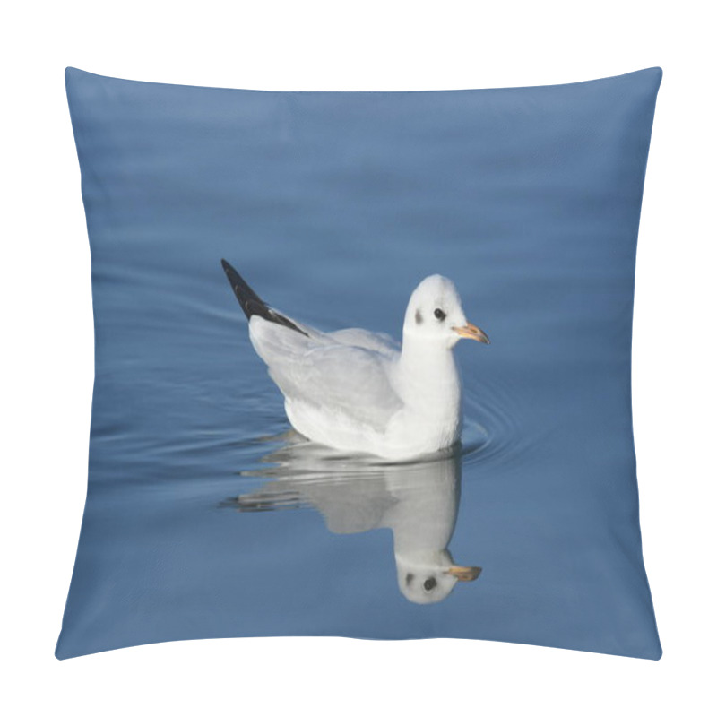 Personality  Black-headed Gull -  (Chroicocephalus Ridibundus)  Pillow Covers