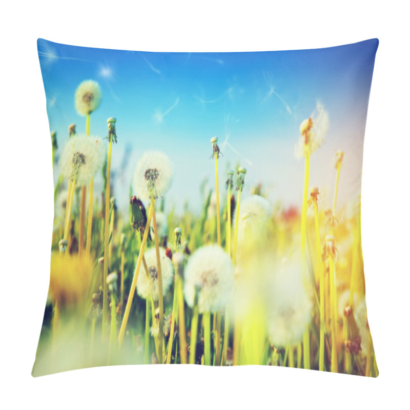 Personality  Spring Field With Flowers Pillow Covers