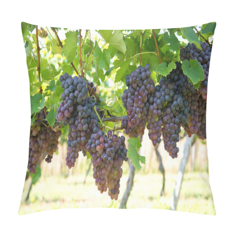 Personality  Red Grapes With Green Leaves On The Vine Pillow Covers