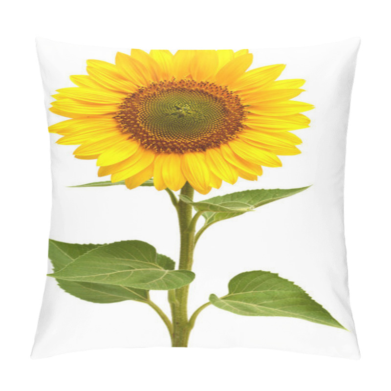 Personality  Sunflower Pillow Covers