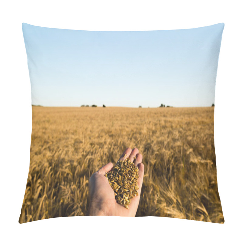 Personality  Grain Harvest Pillow Covers