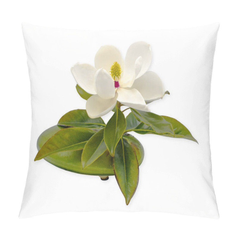 Personality  Large Southern Magnolia - Magnolia Grandiflora - Bloom, Blossom Or Flower Fully Open In Perfect Form Showing Yellow And Red Middle And Green Leaves In Flower Frog Isolated On White Background Pillow Covers