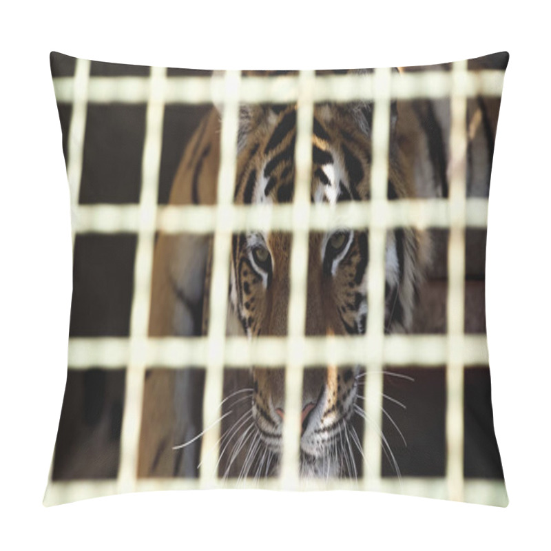 Personality  Striped Tiger Looking At Camera Through Cage With Blurred Foreground  Pillow Covers