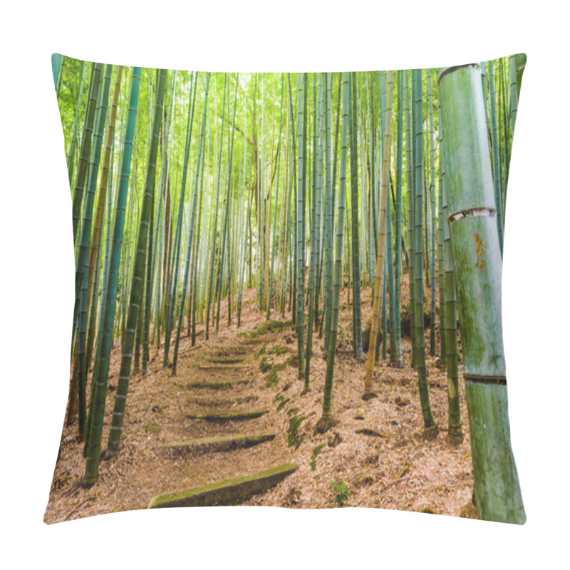 Personality  Bamboo Forest Of Kyoto Pillow Covers