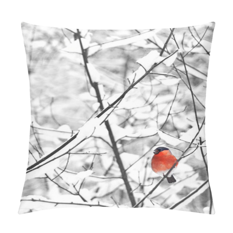 Personality  Bullfinch Pillow Covers