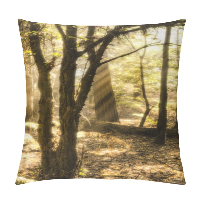 Personality  Inspirational Dawn Sun Burst Through Trees In Forest Autumn Fall Pillow Covers