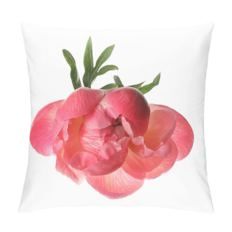 Personality  Beautiful Blooming Pink Peony Isolated On White Pillow Covers