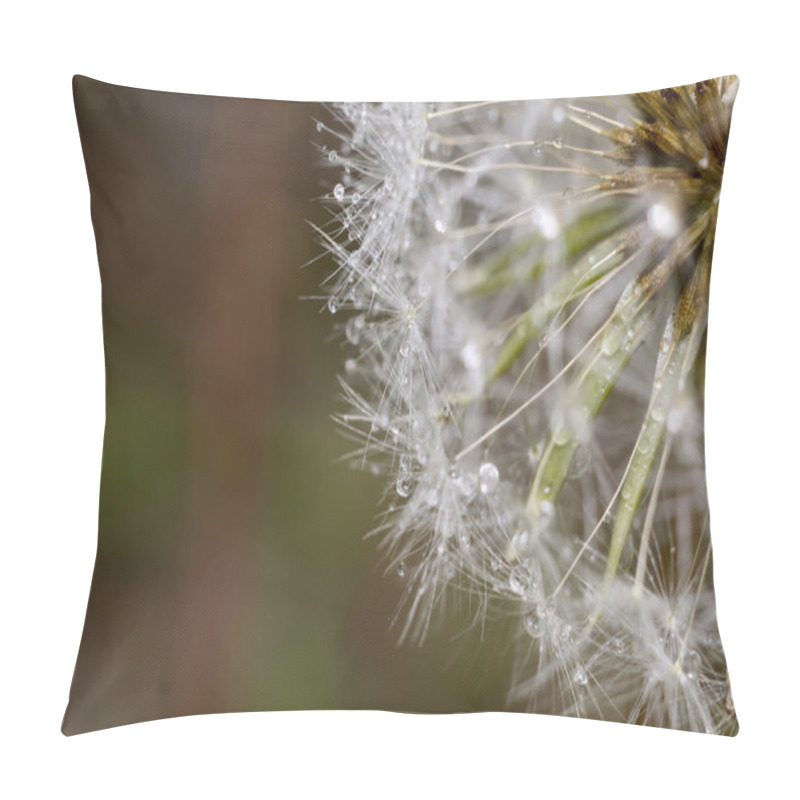 Personality  Dandelion With Water Drops Pillow Covers