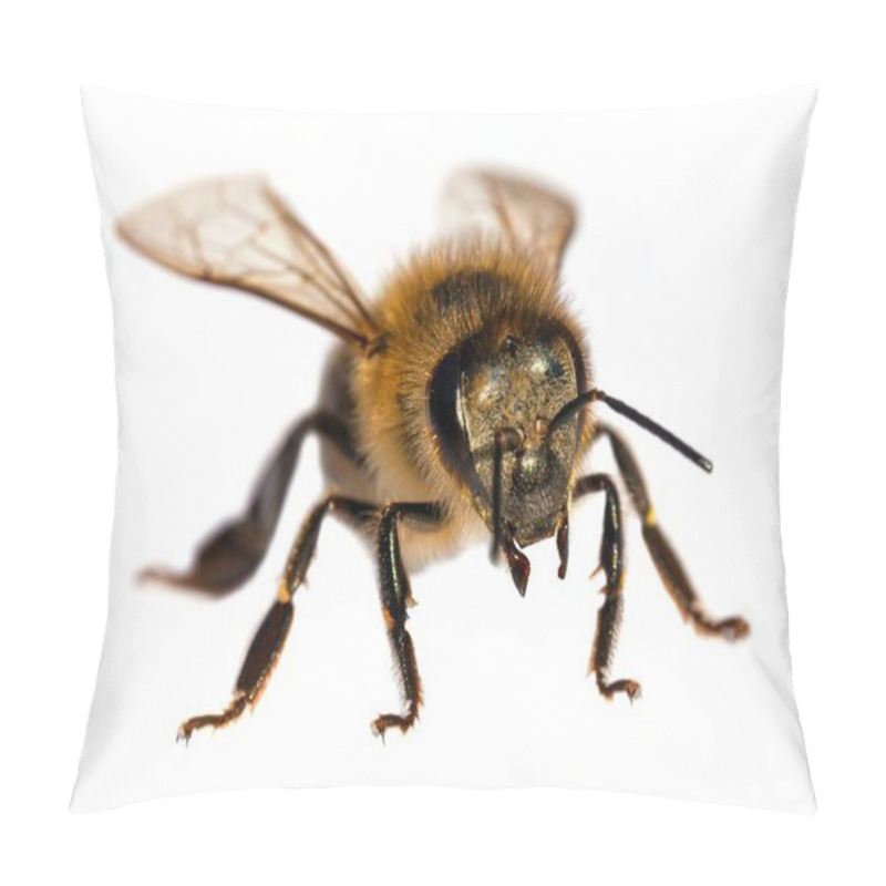 Personality  Detail Of Bee Or Honeybee In Latin Apis Mellifera, European Or Western Honey Bee Isolated On The White Background Pillow Covers