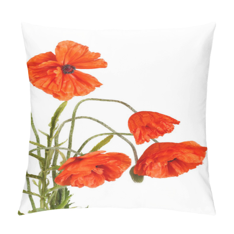 Personality  One Flower Poppy Yellow And Fallen Petals, Is Isolated On A Whit Pillow Covers