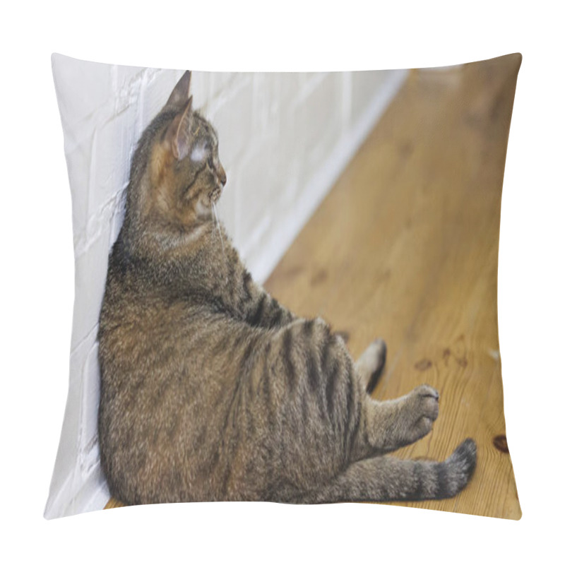 Personality  Cat Sitting Like A Human, Showcasing Its Quirky Personality And Providing A Delightful Glimpse Into Feline Behavior. Ideal For Pet Humor And Animal-themed Content. Pillow Covers