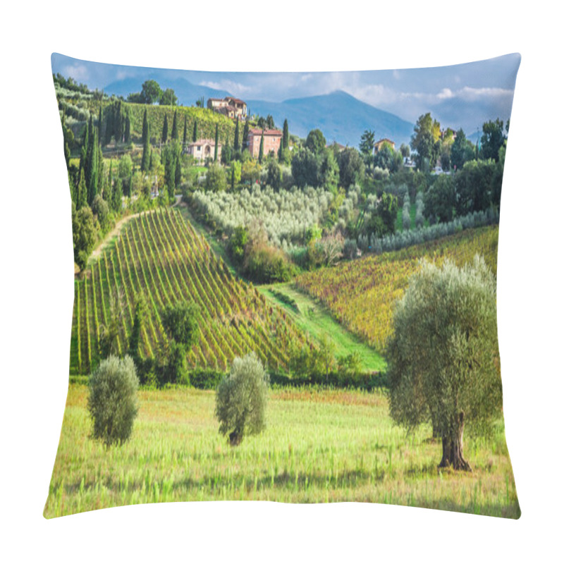 Personality  Vineyards And Olive Trees In A Small Village, Tuscany Pillow Covers