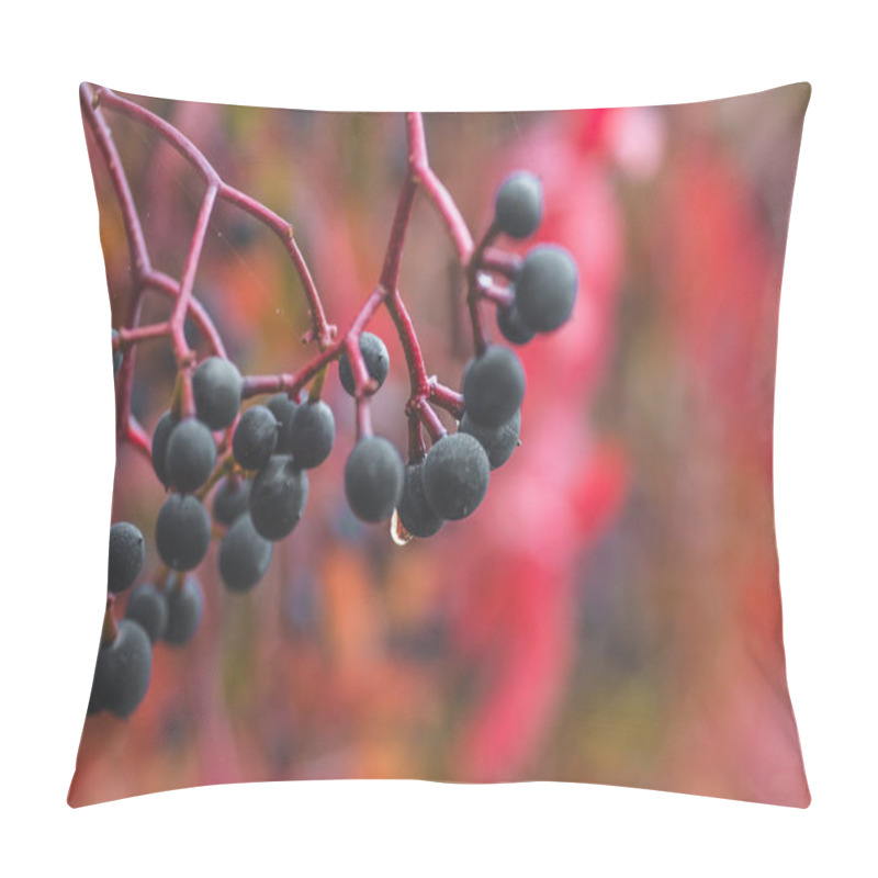 Personality  Autumnal View Of Ivy Blue Berries And Red Foliage. Pillow Covers