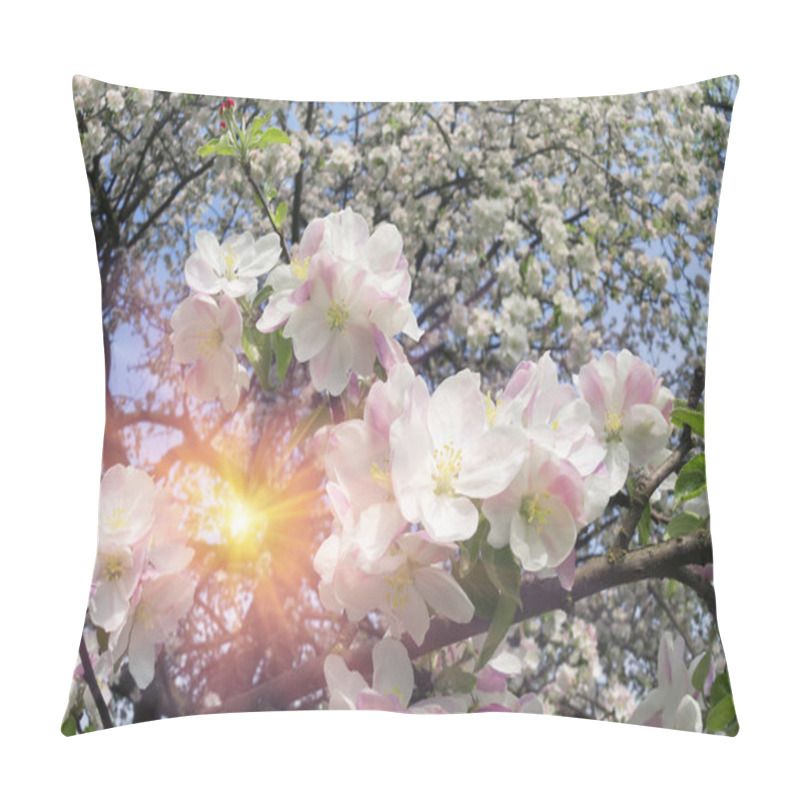 Personality  Gentle Apple Blossoms Pillow Covers