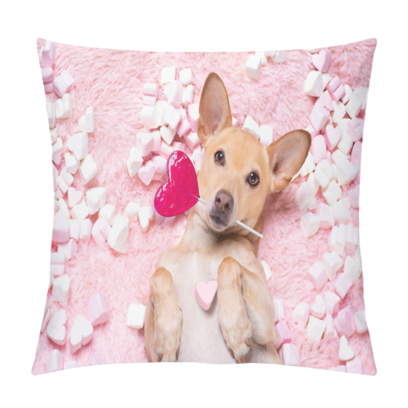 Personality  Chihuahua Dog Looking And Staring At You   ,while Lying On Bed Full Of Marshmallows As Background  , In Love, Pink Lolly Or Lollypop Pillow Covers