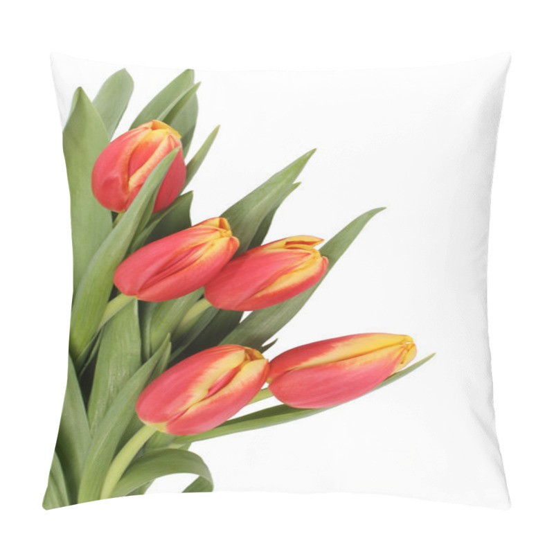 Personality  Tulip Flowers Isolated Pillow Covers