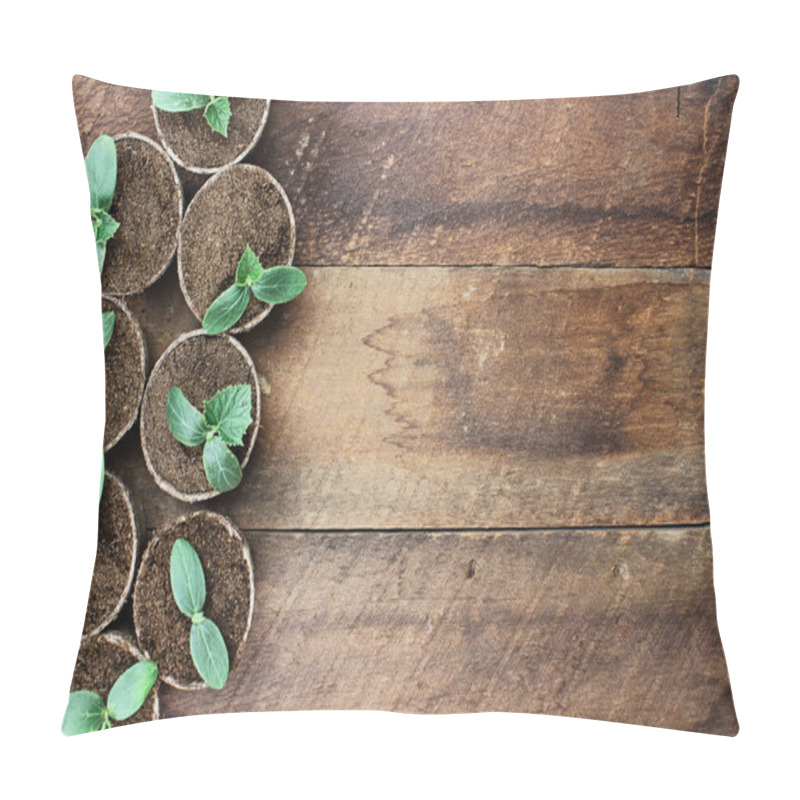 Personality  Cucumber Plants In Seedling Peat Pots Over A Rustic Wooden Table. Image Shot From Above In Flat Lay Style. Pillow Covers